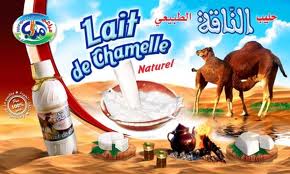  Lait De Chamelle - lait et produits laitiers pour ceux qui sont intéressés,  nous pouvons vous fournir le lait de chamelle (bonne qualité),  provenant d'un élevage en semi intensif situé dans le gouvernorat de medenine et encadré par un ingénieur principal zootechnicien. --le prix d'un litre est d