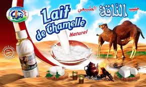 LAIT DE CHAMELLE - 8 TND - Tunisie producteur Recherche de client