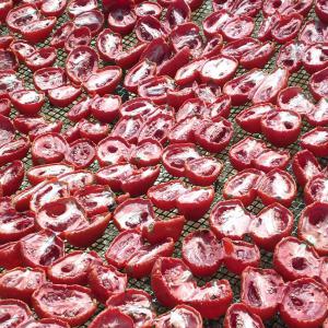  Tomate Sechée - fruits et légumes nos tomates sont cultivées dans nos champs au sud de la tunisie. elles sont séchées sur des filets élevés de façon traditionnelle et ce depuis des générations,  la variété de tomate séchée est principalement sabra--no