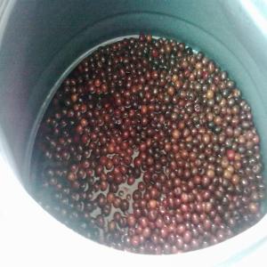  Cerises En Alcool - fruits et légumes 79 fûts de cerises fraîches en alcool. fûts de 195 kgs contenant 145 kg de cerises dans 50 kg d'alcool. calibre 15-18 origine- chili. prix cif lisbonne ou leixões (portugal) 2 650 €/tonne autres destinations nous consulter.