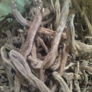  Racines Sarghine - épices aromates disponible tres bonne qualité de racines de sarghine recolte 2013.bien selectionée et pure 100%.avec un tres bon parfum odeure .couleure jaune.pour diverses utilisations ensence.