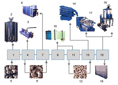  Machines De Tranformation D'amande De Cajou - matériels machines ligne complète de transformation de noix de cajou en amandes.--	1. grillage--	2. cuiseur vapeur--3. noix brutes--4. décorticage--5. décortiqueuse de noix de cajou--6. noix de cajou après décorticage--7. séchage--8. sécheur--9. refroidissement--	10. hu