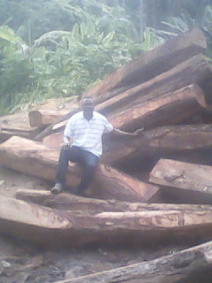  Bois De Teak - bois charbon fibre nous disposons de bois de teak en cote d'ivoire. squared ou en grummes.----contacter nous pour service de qualité.