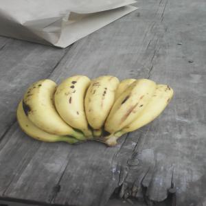  Bananes Dessert - fruits et légumes depuis l'an 2008,  mon exploitation bananière se trouve au rwanda sur les côtières du lac kivu. jusqu'aujourd'hui,  je ravitaille mom produit au marché national. et plus j'augment la superficie cultivable,  plus je suis poussé ā chercher le marché internati