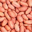  Cameroon Peanuts - céréales supply top quality round type peanut kernels 1 origin size round type- 26/36,  36/41,  41/51,  51/61,  61/71,  71/81 with competitive price. --we are a professional peanut processing factory ,   was built in 1992, exported peanut from 1998.we exported our goods for many countries , most of them are eu count