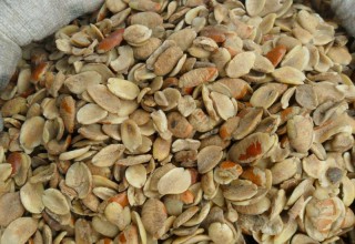  Irvingia Gabonensis Et D'autres Plantes Médicinal - matiere vegetale nous sommes le principal fournisseur de plantes médicinales au cameroun et nos produits sont très efficaces et sont de grande qualité. nos produits sont à la fois secs et frais et nous avons des prix très compétitifs.