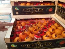  Fruit Et Legumes Fraiche - fruits et légumes ste marocain situé a agadir d'import et export fruit et legumes cherchent clients partout dans le monde pour lang durée offrant bon prix et qualité 