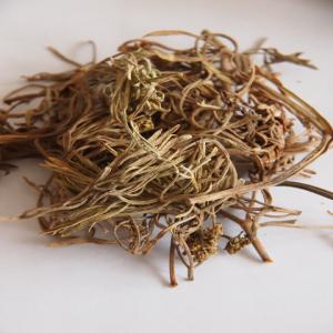  Criste Marine, Fenouil Marin (crithmum Maritimum) - matiere vegetale bonjour, --depuis plus de 10 ans maintenant,  nous sommes une soci&eacute;t&eacute; fran&ccedil;aise sp&eacute;cialis&eacute;e dans la r&eacute;colte et production de plantes s&eacute;ch&eacute;es.--nous proposons de la criste-marine (crithmum maritimum) s&eacute;ch&eacute;e.--n'h&eacute;sitez pas &ag