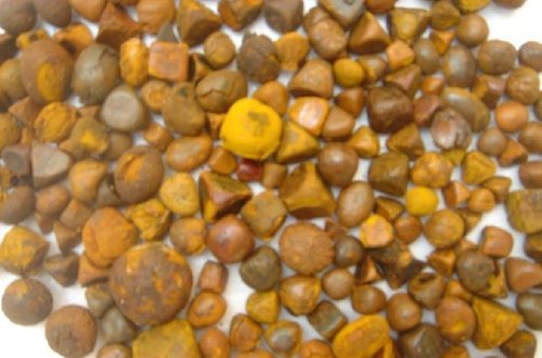  Les Calculs Biliaires De Vache Et Bœuf Vendre - viandes et oeufs nous pouvons vous fournir de grandes quantités de calculs biliaires de caows,  le bœuf et le buffle. nous les avons en grande quantité et nous faisons la livraison par avion. nos produits sont de grande quantité et nous nos prix sont très compétitifs.