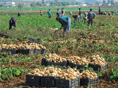  Préservons La Vie Préservons La Nature - matiere vegetale préservons la vie préservons la nature--nous  recherchons des agriculteurs pour la commercialisation de nos produits car nous faisons dans le bio,  nos produits sans additifs chimiques ils sont organiques d'origine végétale--nous avons du liquide superbio et du solide le b