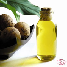  Huiles Végétales Bio Calophyllum - huiles producteur français installé en indonésie sud sulawesi,  fournit pour la cosmétique huiles végétales bio ecocert pression à froid de calophyllum et aleurites moluccana (kendi investi envers la population locale. grande expérience dans la cosm&ea