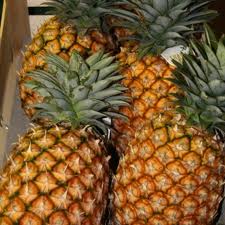  Ananas Des Tropiques Du Cameroun - fruits et légumes les ananas du cameroun beneficient d'une floraison naturelle sous la chaleur des tropiques ce qui lui permet d'avoir un gout tres sucre pour une degustation appreciable 