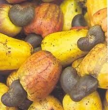  Noix D acajous - horticulture plante biocarburant madame ou monsieur,  c est avec un grand plaisir que nous vous informe que nous disposons plusieurs quantités de noix d acajous 100 % naturel à un prix très compétitive et les frais de transports est a notre charge. nous marchandise es toujours accompagner d un certificat 