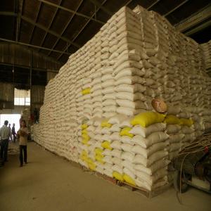  Offre De Vente De Riz Thailandais - céréales disposonibilité d’une quantité importante de riz indien thailandais 25% brisure,  disponible au togo conditionnement 50kgs prix à la demande. conditions tarifaires fob - 470$/tonnes restrictions - pas de limites origine - thailande et inde port d’embarquement togo conditionnement