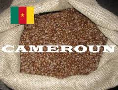 Cafée Camerounais - café cacao thé attention svp.  nous exportons déjà notre produit en europe,  donc vus sa qualité,  son arôme particulièrement appréciée par des patenaires ,  nous continuons à attendons des propositions pour l'exportations de notre délicieux cafée c