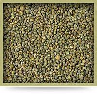  Millet Vert En Graine Indien - fruits secs et graines grillées nous avons du millet vert en graine origine inde de tr&egrave;s bonne qualit&eacute;,  nous cherchons des clients s&eacute;rieux pour collaborer &agrave; long termes, nous sommes heureux de recevoir vos demandes et nous seront capable de vous garantir la qualit&eacute; et la quantit&eacute;.non s&eacu