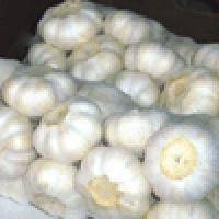  Ail Frais - fruits secs et graines grillées nous sommes des marchands et négociants d'une large gamme de légumes liliacées comme ails,  oignons,  etc,  et nous embarquons globalement à nos clients les meilleurs prix concurrentiels.--caractéristiques--ail frais--1 top qualité--2 prix raisonnable--3 meille