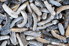  Concombre De Mer - coquillage crustacé bonjour,  nous produisons et fournissons des concombres de mer de très bonne qualité,  à des prix compétitifs. le délai de livraison sera déterminé lors de la commande.