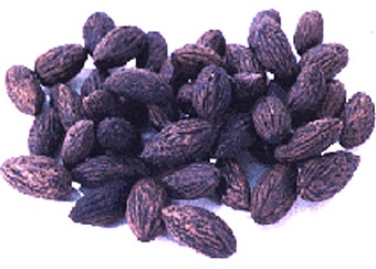  Noyaux Olives Maroc - energie renouvelable maroc biomass,  nous recherchons des partenaires fiables et s&eacute;rieux. producteurs --nos produits sont de bonne qualit&eacute; et a des  prix comp&eacute;titif. --nous mettons a votre disposition en vrac ou en sac,  grignon d'olive,  noyaux d'olive concass&eacute;s ou en poudre  (pit of olives),  n