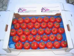  Client Ou Partenaire - fruits et légumes je cherche un client et un partenaire a l'etranger ( europe ,  ou pay de magreb ) pour culture tomate pay d'origine tunis--