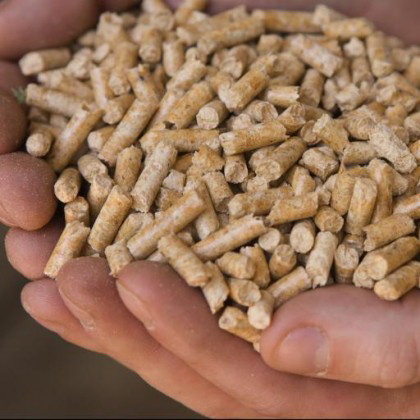  Besoin De Pellets De Bois - bois charbon fibre besoin urgent de pellets de bois avec les spécifications suivantes - ----1) specification of industrial wood pellet--moisture arb(as received basis) 8.00% max.--ash db 1.5% max.--diameter 8mm--length 10-50mm--calorific value arb 4600kcal/kg min.--net calorific value arb 4100kcal/kg min.--tota