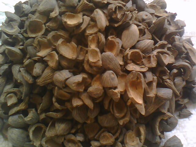  Coques De Palmistes - matiere vegetale je dispose une grande quantit&eacute; de coques de palmistes propre et secs avec un prix raisonnable dans l'emballage ou pas selon  le besoin de client et je suis pret pour toutes discussion autour de prix merci