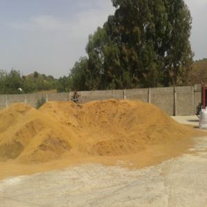  Biomass Noyaux Grignons Cippato De Bois - energie renouvelable nous avons disponible noyaux des olives,  humidité 9, 5 % taux de huile 1, 4%,  grgnons des huleries. aussi des grignons des hulerie avec taux des huile 1, 5%,  humidité 10%.