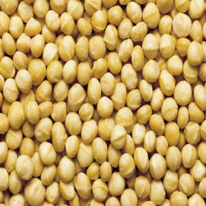  Noix De Cajou,noix De Macadamia - fruits secs et graines grillées nous fournissons une large vari&eacute;t&eacute; de graines et de noix brutes soigneusement nettoy&eacute; et class&eacute;s (noix de cajou,  noix de macadamia,  amandes d'abricots,  graines de s&eacute;same,  etc) pour r&eacute;pondre &agrave; une vari&eacute;t&eacute; de besoins des clients,  et discut