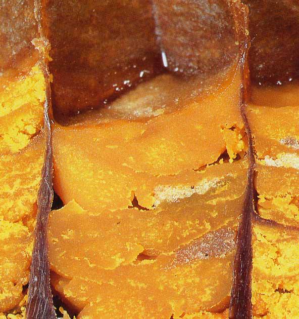  Cire D abeille - matières grasses madame ou monsieur,  nous vous informons que nous disposons plusieurs quantités de cire d abeille 100 % naturel à un prix très compétitive et les frais de transports est à notre charge. nous marchandise es toujours accompagner d un certificat d analyses physico-chim