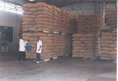  Du Bon Cacao Et Café De Cote D'ivoire - café cacao thé je suis une cooperative qui a de bonne qualit&eacute; de caf&eacute; et cacao.et j'espere avoir aussi des peronnes sincere pour l'achat des ces produits qui seront benefique aux consommateurs du monde.