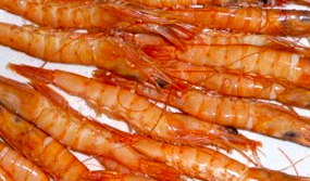  Poisson Congelé Ou Frais - poissons   	recherche de client poisson afrique congelé ou frais danton et pargo (famille dorade rose),  burro et sompat (famille dorade grise),  chinchard,  bar moucheté,  merou (thiof),  onbrine,  liche,  mâchoiron, ,  sole langue,  capitaine,  sar rayé,  ex.. - 1, 60€ a 10€ - carton 10/15/20