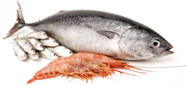  Produits De La Mer Du Pérou - poissons bonjour, ----nous exportons de nombreuses variétés de poissons,  céphalopodes,  crustacés et autres produits de la mer en provenance du pérou.----n'hésitez pas à prendre contact avec nous pour obtenir la liste exhaustive de nos produits.----cordialement.