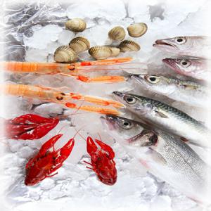  Recherche Client Serieux Et Credible - poissons poissons congelés-- 	nous sommes une société  au maroc,  nous cherchons des clients qui peuvent faire la distripions de poisson avec des quantités importantes et régulières. on travaille beaucoup avec des poissons congelés à bord,  et autres pois