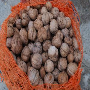 Vente De Noix - fruits secs et graines grillées nous sommes  une entreprise de vente des noix ----nous sommes de la moldavie ( republic of moldova) et nous souhaitons collaborer avec les pays d`europe et du monde entier.----le prix est de 2 eu/kg.(la livraison y compris).----si vous etes intéressé n'hésitez pas de nous contac