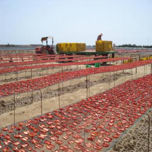  Tomate Séchée - fruits et légumes tomates s&eacute;ch&eacute;e a vendre. quantit&eacute; 30 tonnes. pour client locale ou &eacute;tranger. exportation possible. prix 2.5euro/kilogramme.