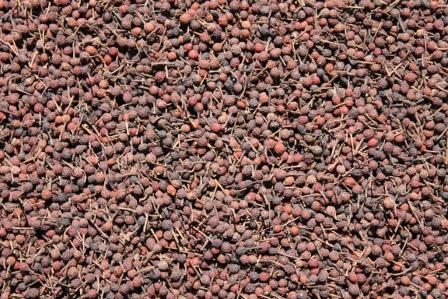  Voatsiperifery (poivre Sauvage De Madagascar) - épices aromates voatsiperifery (poivre sauvage de madagascar)-- 	voatsiperifery,  poivre sauvage de madagascar récolte 2013 noir & rouge qualité extra. emballage vrac ou double gaine alimentaire 1 kg. --