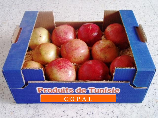  Grenades De La Tunisie - fruits et légumes nous disposons d'une grande quantité de grenades de la variété gabsi de très bonne qualité. nos prix sont très bien réfléchis. nous avons aussi les grenades biologiques certifiées. pour les intéressés n'hésitez pas &