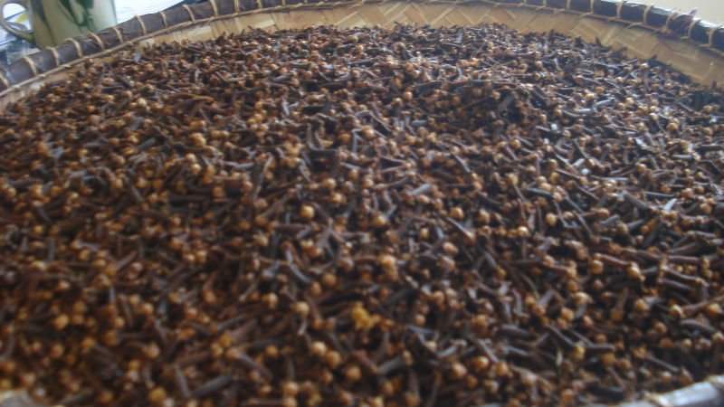  Girofle Madagascar - épices aromates nous cherchons des clients pour acheter du girofle sur place à madagascar. --la marchandise est à prendre sur place,  sur la partie sud-est de l'îles.--nous avons actuellement 60 tonnes de girofles.--si l'offre vous intéresse veuillez nous contacter directement par mail ou 