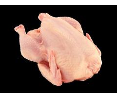  Vente Poulet De Chair Au Burkina - viandes et oeufs une ferme à ouagadougou  au burkina vent des poulets de chair à 2300f le kg.--nous avons un protocole sanitaire qui répond aux normes.-- 