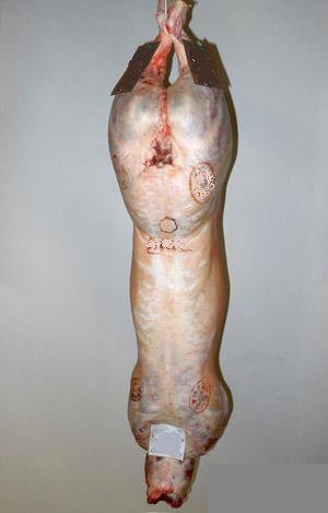  Veau Halal - viandes et oeufs vendons veau et demi veau halal. --qualité- blanc,  rosé claire,  rosé,  rouge,  --toutes quantités disponible, --conformation du e au o,  --engraissement- 2 à 3.--nous contacter pour prix.--cordialement