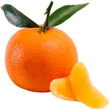  Clementine - fruits et légumes nous somme une sociètè marocaine spècialisèe dans la production et exportation de fruits et lègumes.nous souhaitons èlargir nos rapports commerciaux à travers distributeurs en gros dans les quatres coins du monde.nous garantions qualitè , prix c