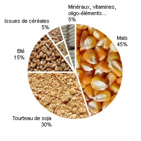  Coopérative Brasilgrossiste Aliment Pour Animaux - aliments pour animaux coopérative brasilgrossiste spécialisée dans l'alimentation animale--nous sommes une coopérative brésilienne et nous offrons à nos clients une offre complète d'aliments pour--les bovins laitiers--les bovins de boucherie, --porc--les pondeuses--les poul