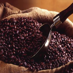  Coopérative Brasilgrossiste En Café Arabica - café cacao thé nous sommes une coop&eacute;rative sp&eacute;cialis&eacute;e dans le caf&eacute; arabica du br&eacute;sil type 6/7,  et le caf&eacute; robusta,  les grains de caf&eacute; verts, --nous recherchons des acheteurs s&eacute;rieux de 12.500mt. nous attendons vos commandes salutations ... lire la suite - res