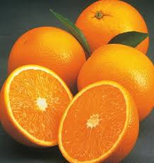  Navel Et Valencia Oranges Fraîches Pour La Vente - fruits et légumes nous aimerions vous présenter notre produit des oranges fraîches avec les spécifications suivantes----salutation de benecube (pty) ltd----ce que nous disons n'est pas notre propos mais les mots de chaque client,  qui traite de la société, ----benecube (pty) ltd  est c