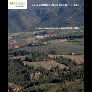  Louer Domaine Agricole - mine terrain concession a louer une ferme de 27 hectares plantee d'olives de tables amandiers peches plates mandarines avec trois puits et une belle villa de 220 m2 a 40km de tunis sur la route c35 vers bouficha a partir de mornag avec la possibilite de developper un projet ecotouristique.