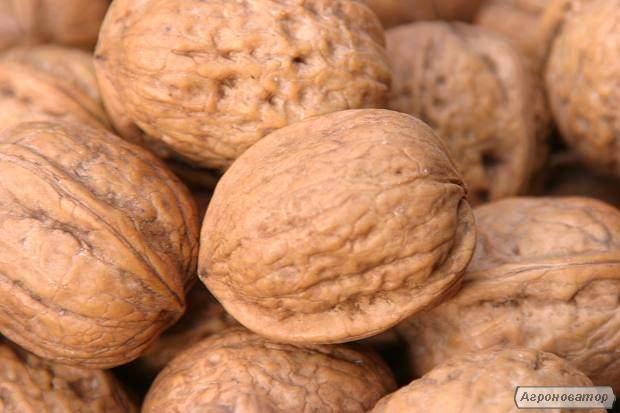  Greek Nuts/grecques Noix 1.50€ Par Kg Prix Dat !) - fruits secs et graines grillées bonjour mesdames et messieurs!nous sommes une société de distribution ukrainienne,  et nous proposons à votre attention, le produit suivant- grecques noix (greek nuts)prix 1.50€ par kg (price dat)la qualité du produit est irréprochable (!)produit a été 