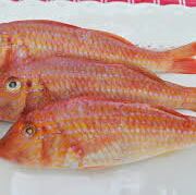  Poisson Qualité Prix Competitif - poissons 	produits de la mer à prix competitifs-- 	je suis le répresentant de maurilogistic entreprise d'exportation du poisson frais en mauritanie et suis à la recherche de nouveaux clients dans le but de diversifier notre clientele. nous proposons du poisson de qualité à 