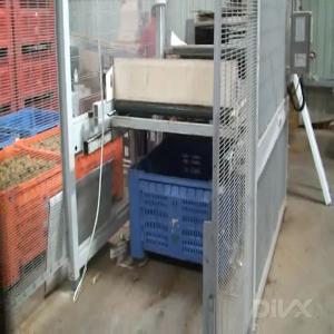  Vide Palox Melon Ou Autre - matériels machines vide palox - vide les palox les uns après les autres,  le nouveau palox est chargé après évacuation du palox vide précédent. c’est la solution la plus économique pour alimenter une ligne de conditionnement par un vidage semi-automatique de palox. ---• 