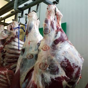  Viande De Boeuf Et D’agneau Halal - viandes et oeufs viande halal de boeuf et d'agneau,  origine roumanie,  tous les certificats necessaires. interesses,  me contacter par email ou par telephone.
