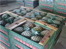  Ananas (cayenne Lisse, Md2) - fruits et légumes ananas----période de production- toute l'année--mode d'expédition- avion,  bateau--origine- côte d'ivoire--variété- cayenne lisse,  sweet golden md2--conditionnement/calibre- a6-a8-b9-b10-c12--emballage- carton ouvert--poids net/colis- 12 kg--nombre de colis/pa